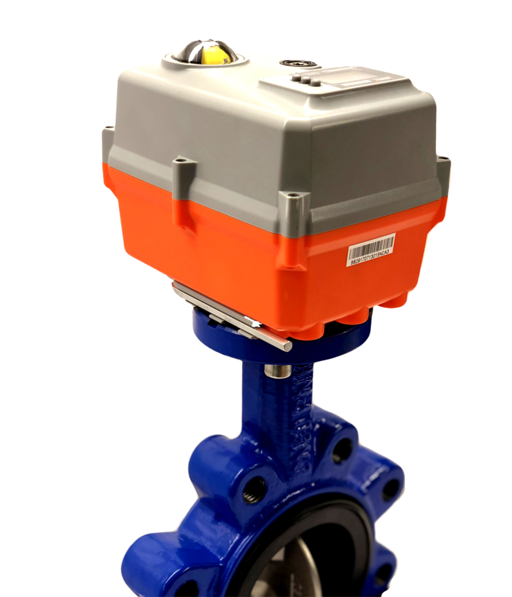 Lugged butterfly valve with AVA Actuator